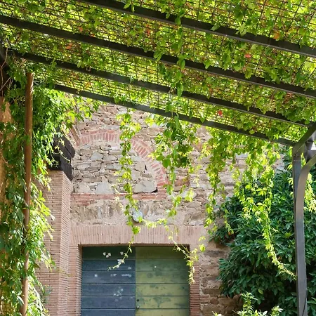 Fattoria Pian Di Rocca-3